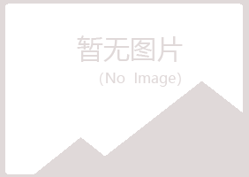 奉新县夜山能源有限公司